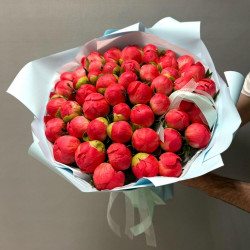 Букет из 51 кораллового пиона